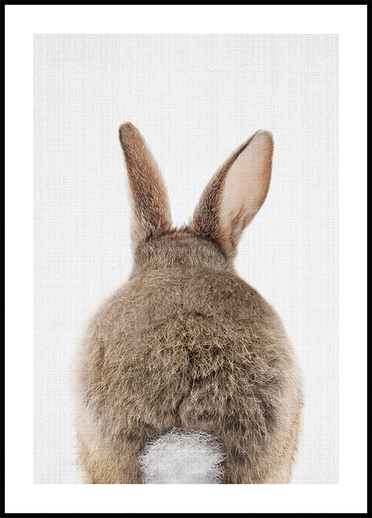 Peekaboo Bunny Tail Plakat