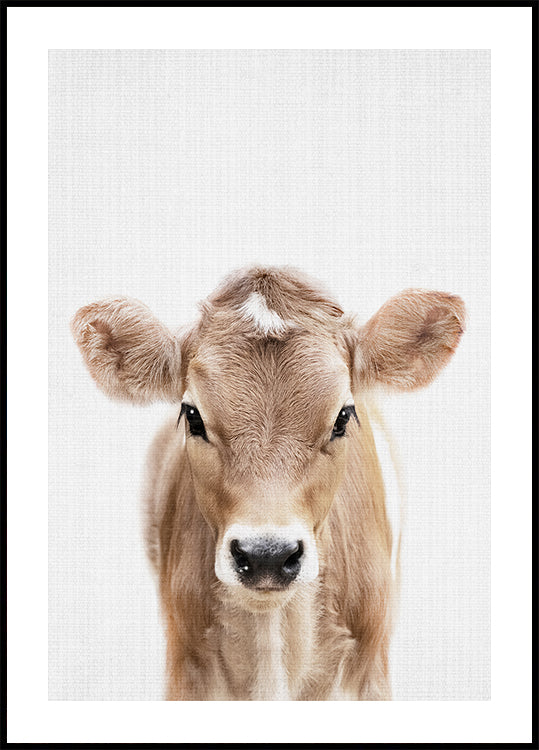 Peekaboo Baby Cow  Plakat