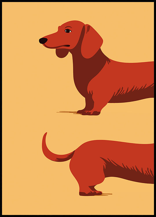 Dachshund Plakat