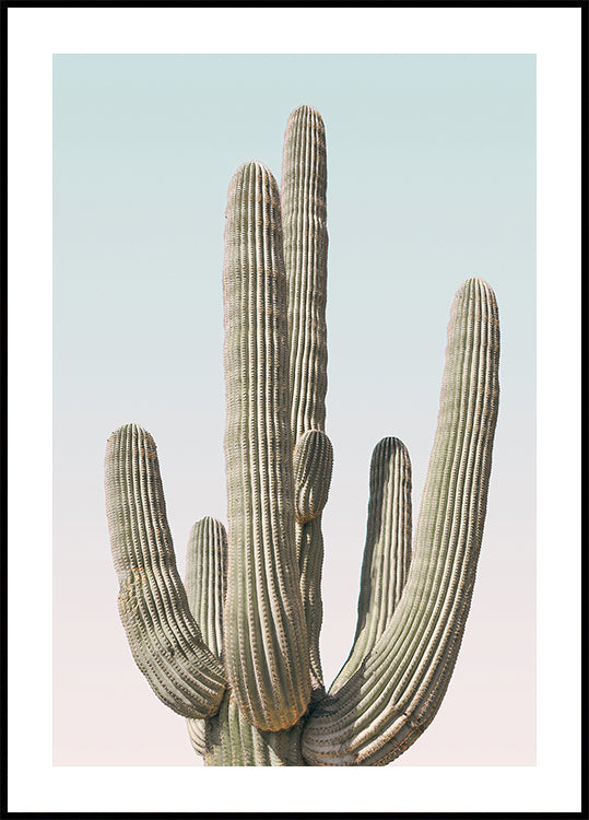 Saguaro Plakat