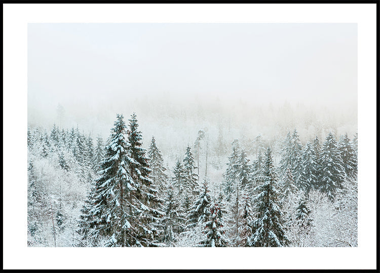 Snowy Fir Forest Plakat - Posterbox.dk