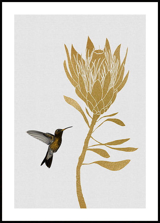 Hummingbird & Flower I Plakat