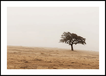 Autumn Grassy Field and Solitary Tree Plakat