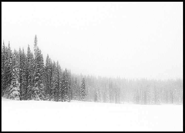 Forest for the Trees Plakat