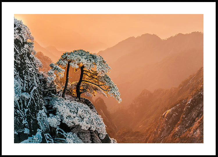 Resilience on the Edge Plakat