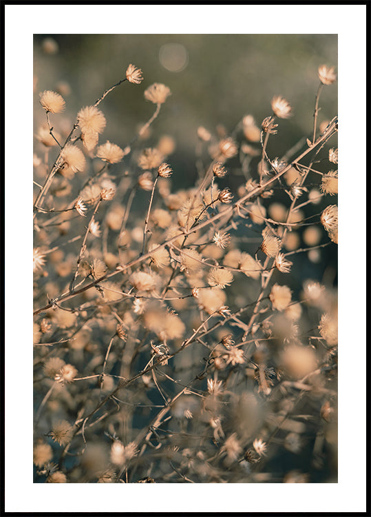 Beach flowers_003 Plakat