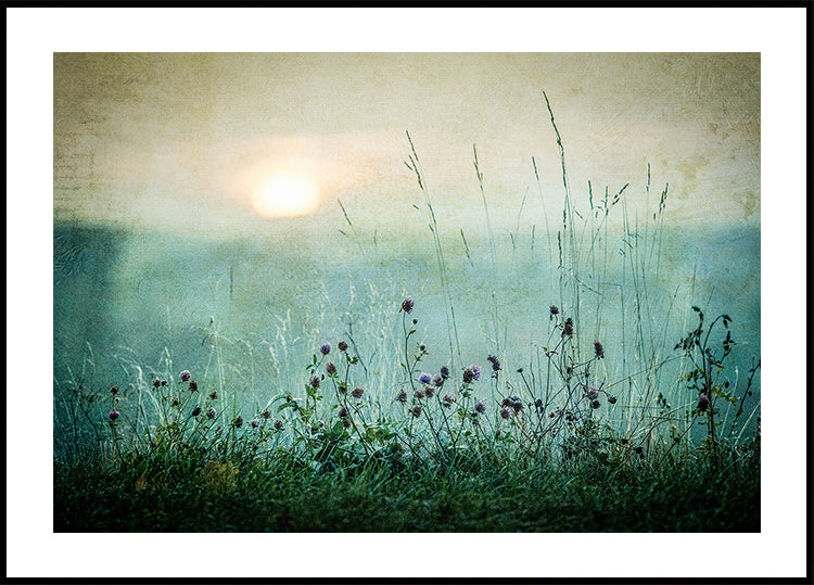 Autumn sunrise Plakat