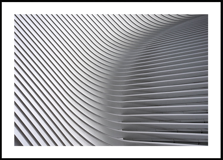 Calatrava Curves # 2 Plakat