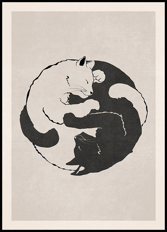 Feline Harmony Plakat