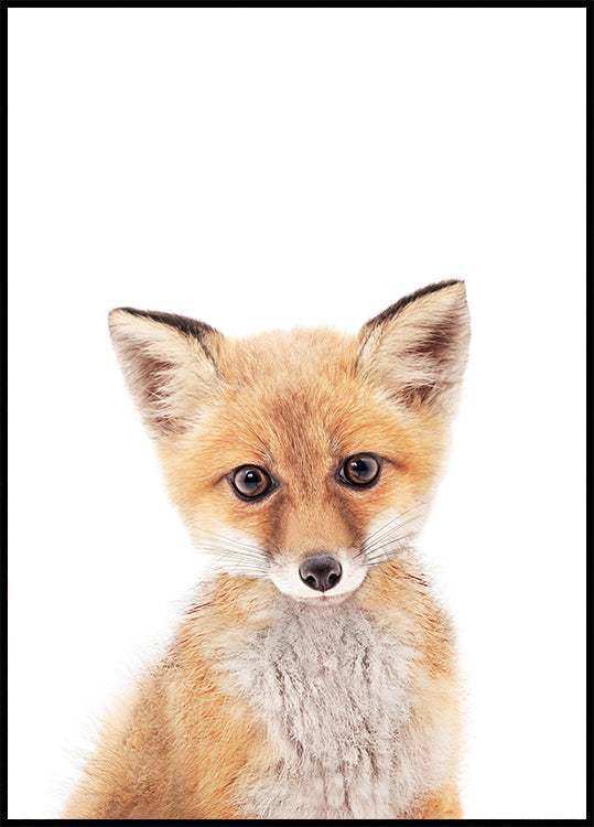 Baby Fox Plakat
