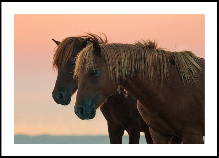 Looking forward Plakat