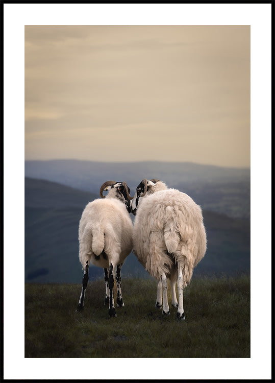 Yorkshire Love Plakat