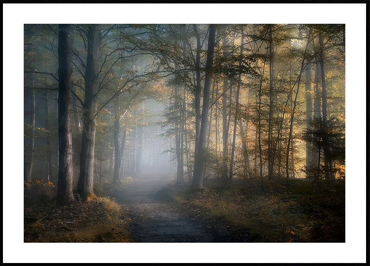 autumn symphony Plakat