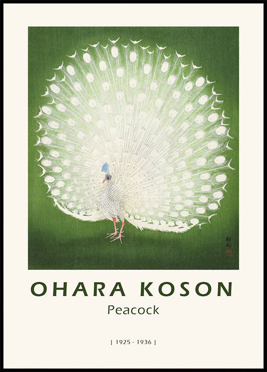 Peacock, Japanese White Peafowl Plakat - Posterbox.dk