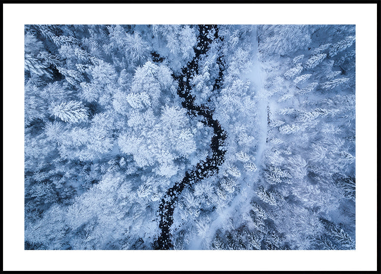 A Freezing Cold Beauty Plakat