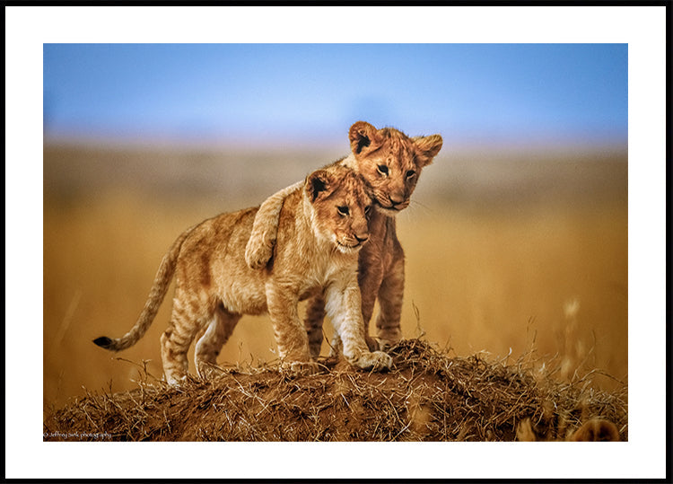 Brothers for Life Plakat