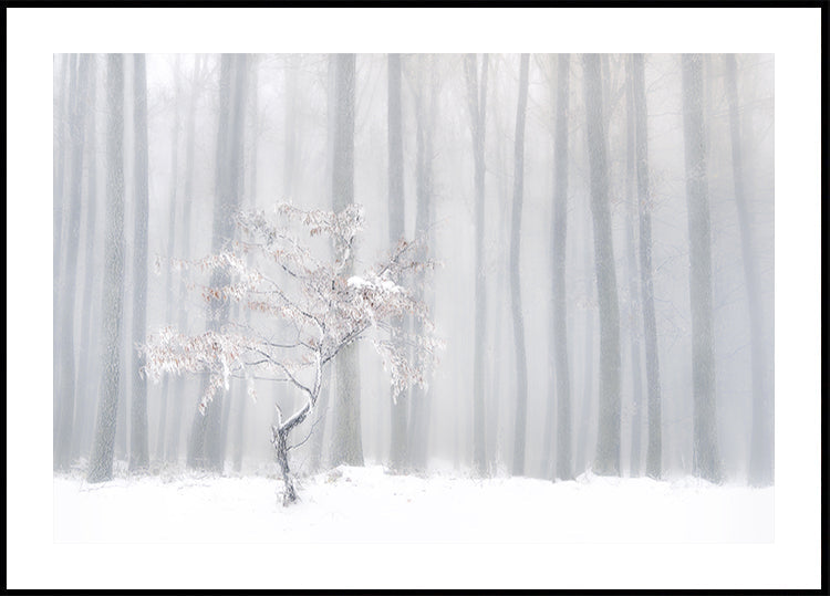 In front of the misty curtain Plakat