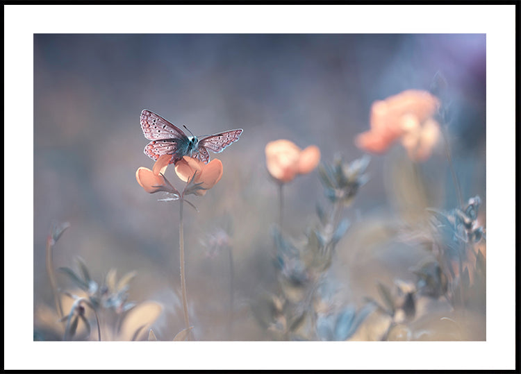 The Lady of Lothlorien