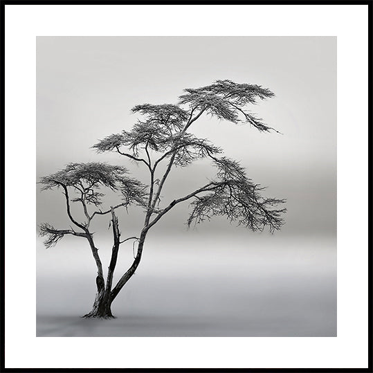 a very long story Plakat