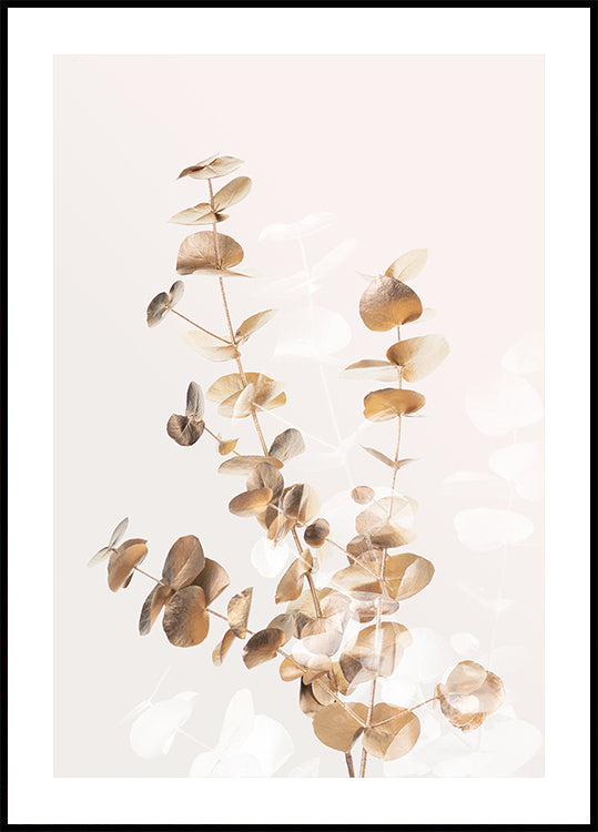 Eucalyptus Creative Gold 03 Plakat