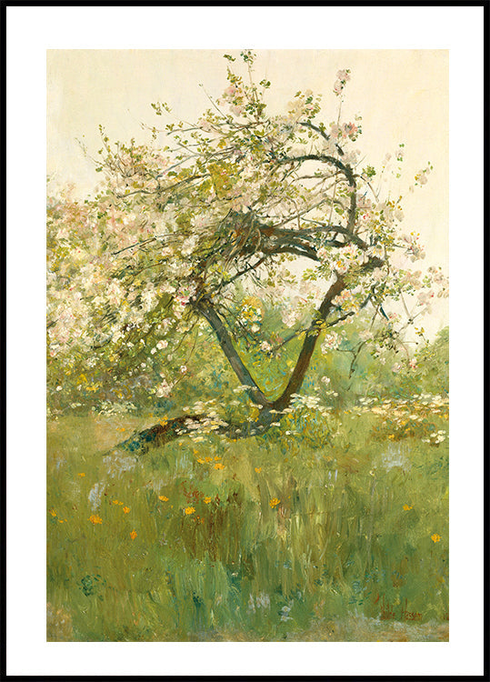 Peach Blossoms Villiers-le-Bel By Childe Hassam Plakat - Posterbox.dk