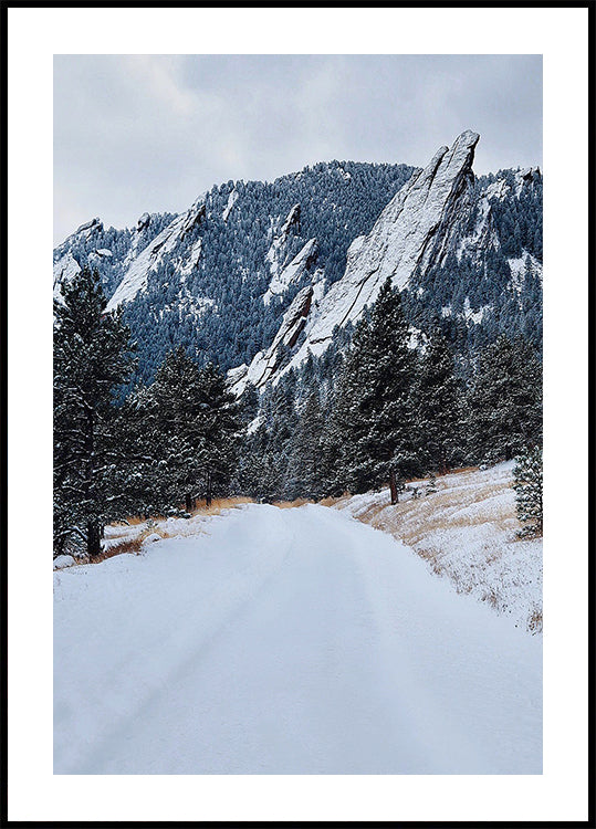 Frozen Flatiron Plakat