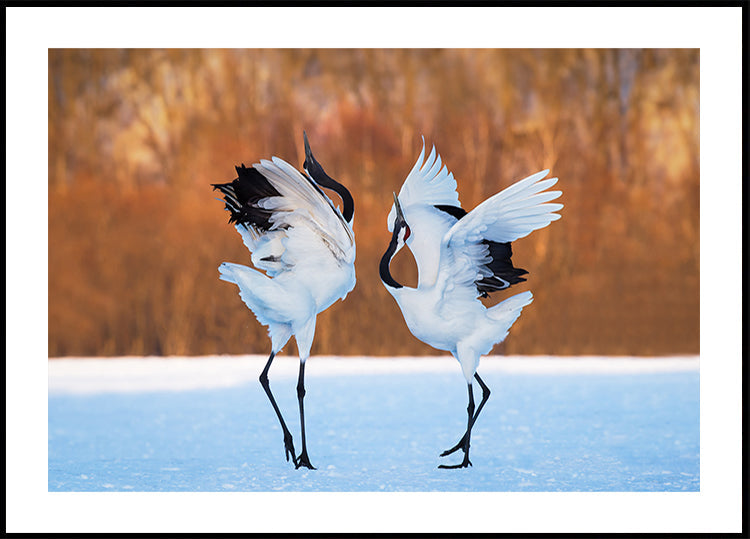 The dance of love Plakat