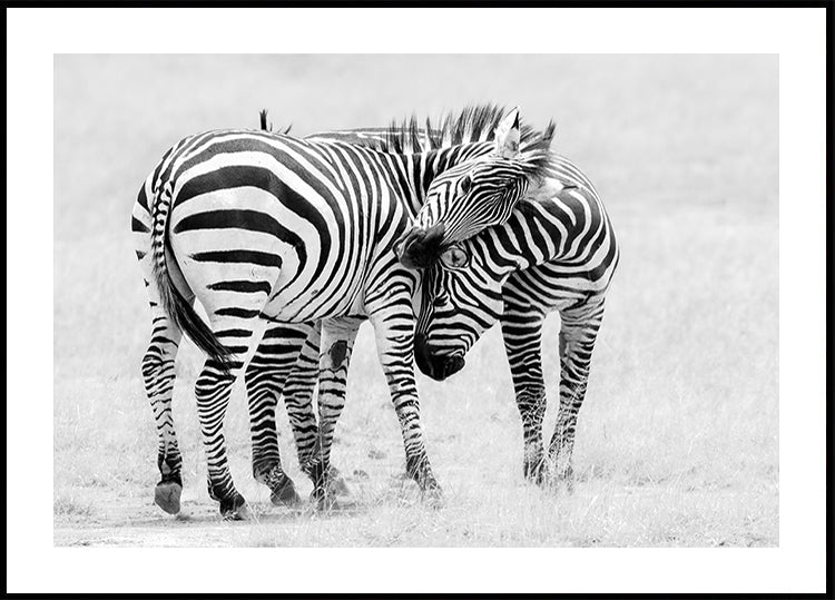 Tender Moment Plakat