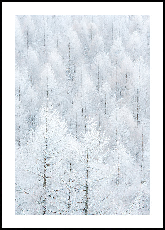 清浄（Seijyou） Plakat