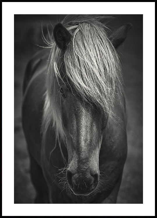 Alpine Surf Dude Plakat