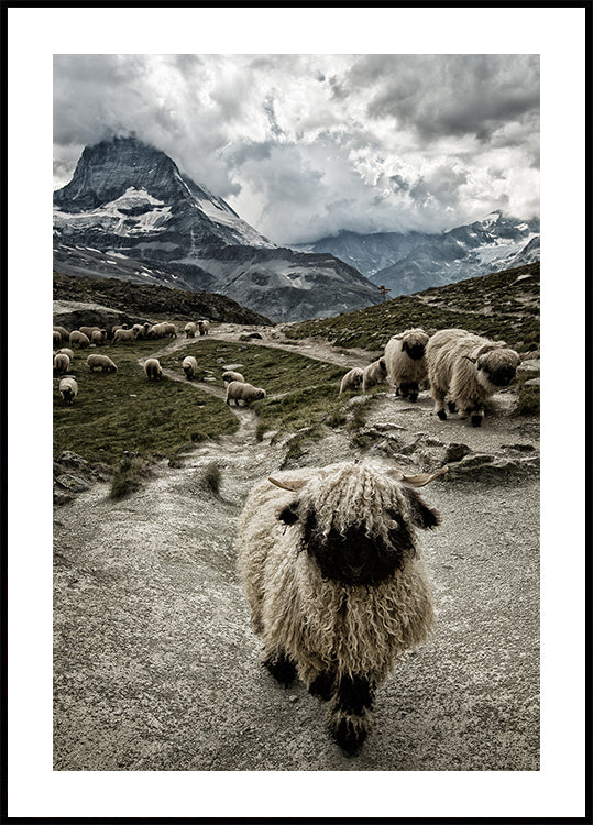 Out of my way Plakat