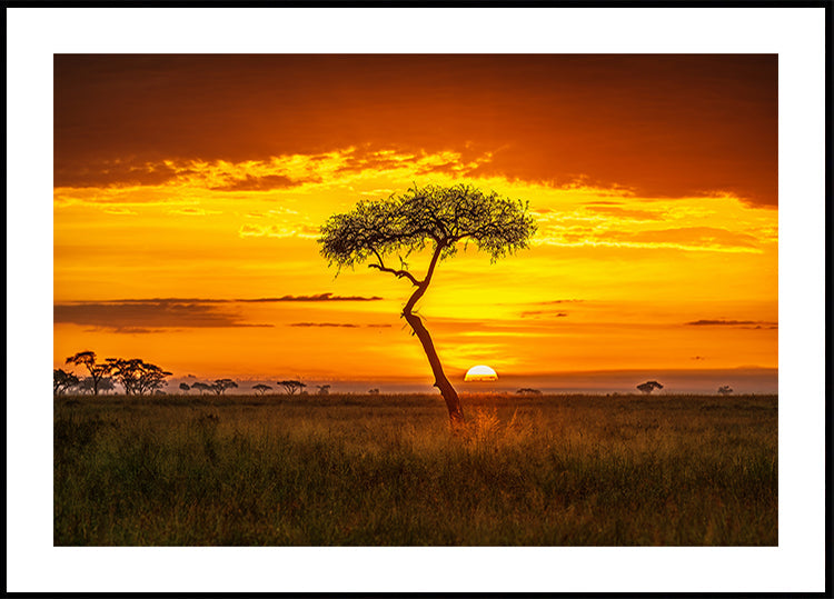 Primordial Africa Plakat