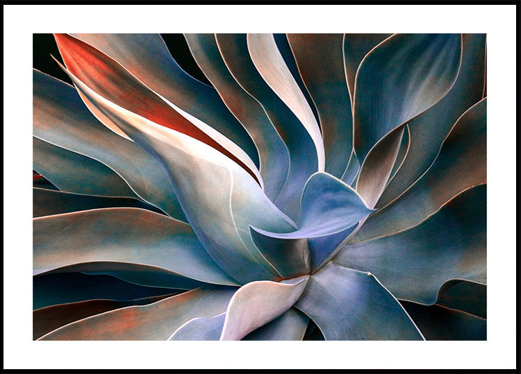 The colors in leaves Plakat