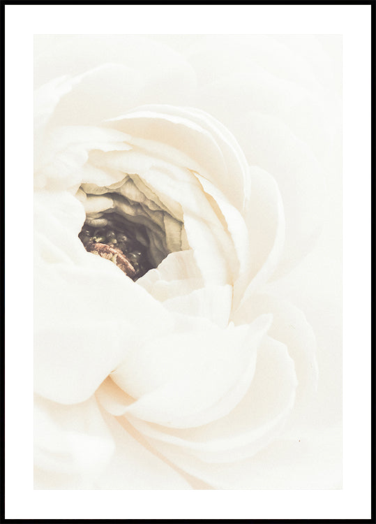 White Flower No.1 Plakat