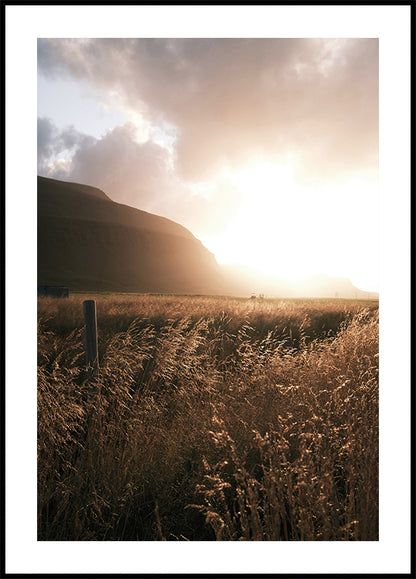 Autumn Sunset Over the Field Plakat