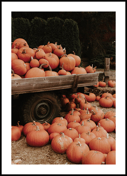 Pumpkin Patch Truck Plakat