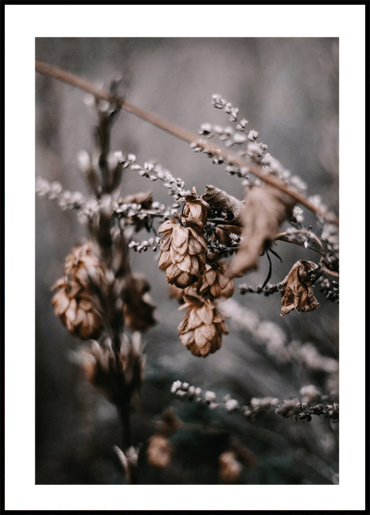 Autumn Arrival Plakat - Posterbox.dk