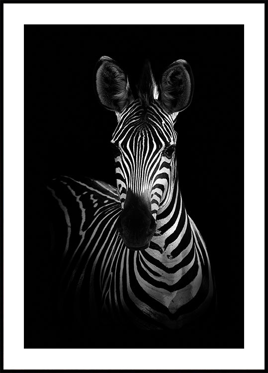 The Zebra Plakat