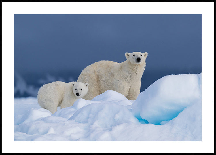 Mommy and baby Plakat