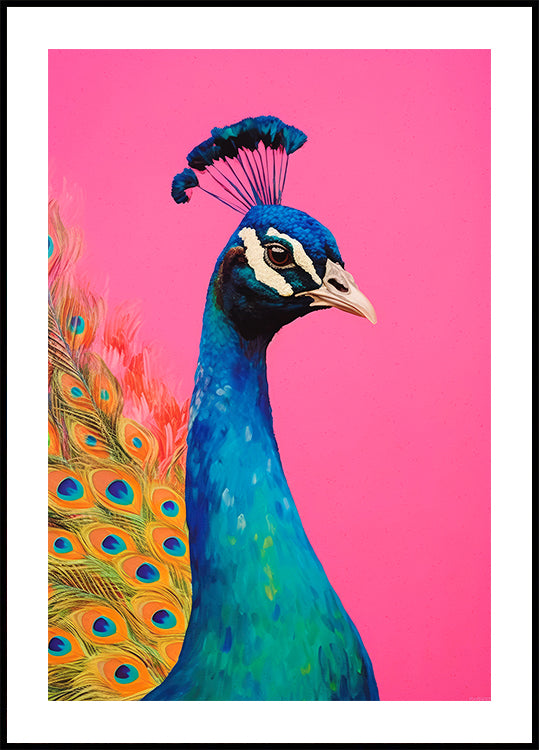 Peacock&#039;s Vibrance