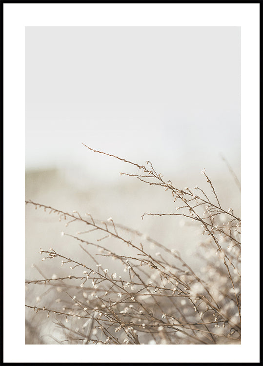 Branches Plakat - Posterbox.dk