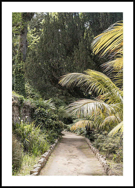 Tropical Walk Plakat