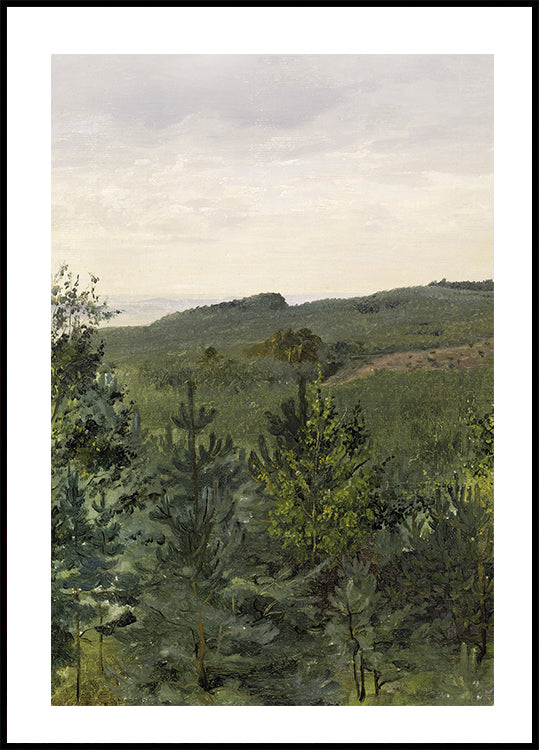 Spruce Saplings in Sandy Soil Study By Werner Holmberg Plakat - Posterbox.dk