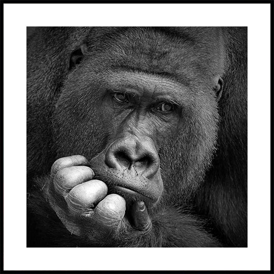 I had a Dream Plakat