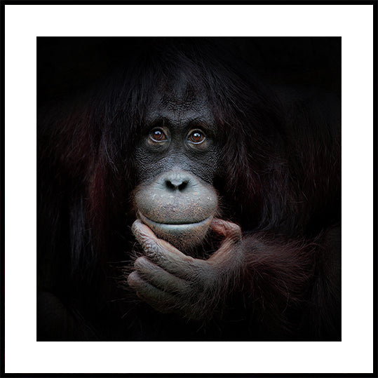 THE MIRROR IMAGE Plakat