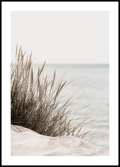 Grass by the Sea Plakat