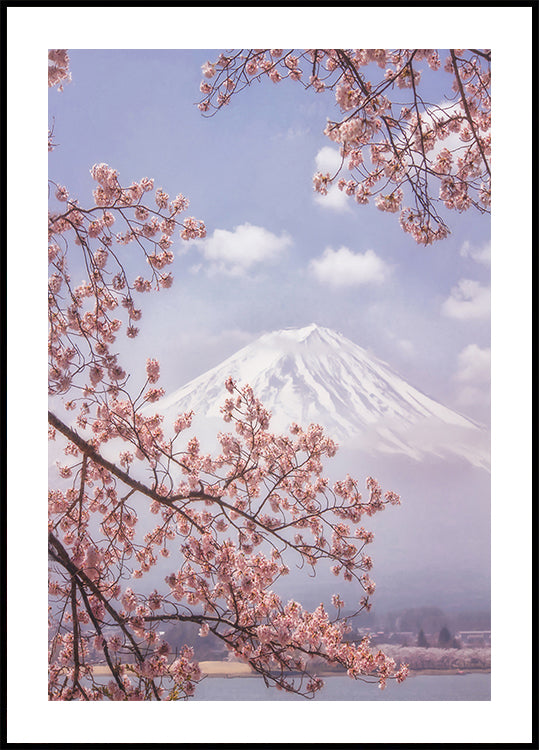 Mt.Fuji in the cherry blossoms Plakat