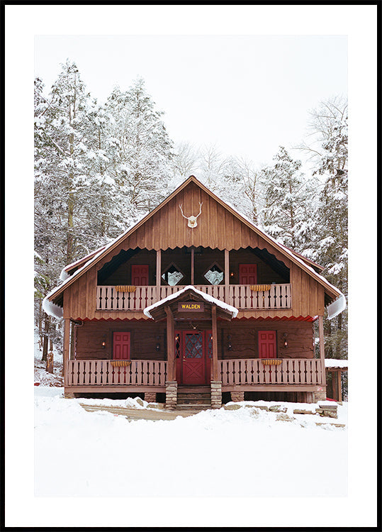 Upstate New York Snow XI Plakat