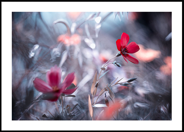 Une Fleur, une Histoire