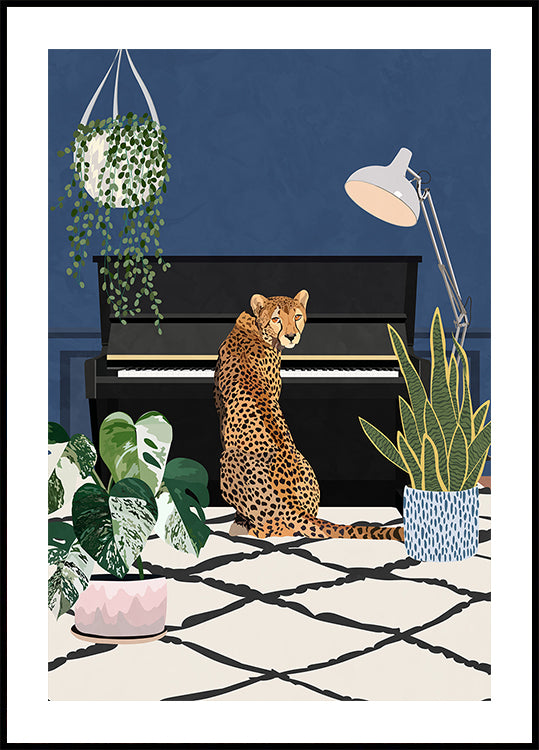 Cheetah playing piano Plakat